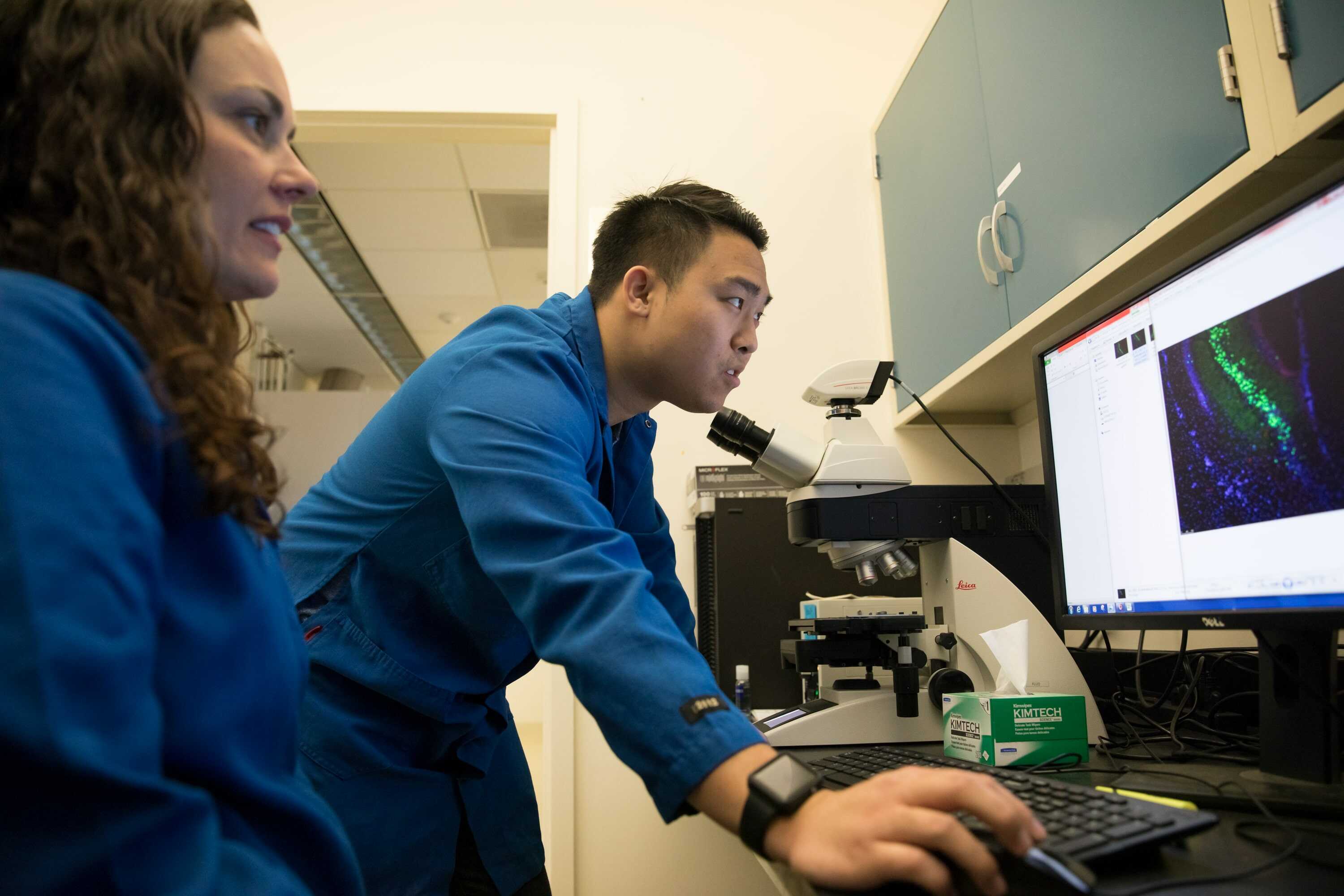 people in classroom lecture