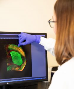faculty looking at scan on computer screen